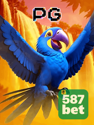 587 BET bônus — cashback 15 por cento e níveis VIP